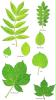 baum buch 1_3